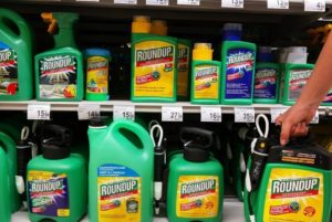 Roundup Herbicide by Monsanto